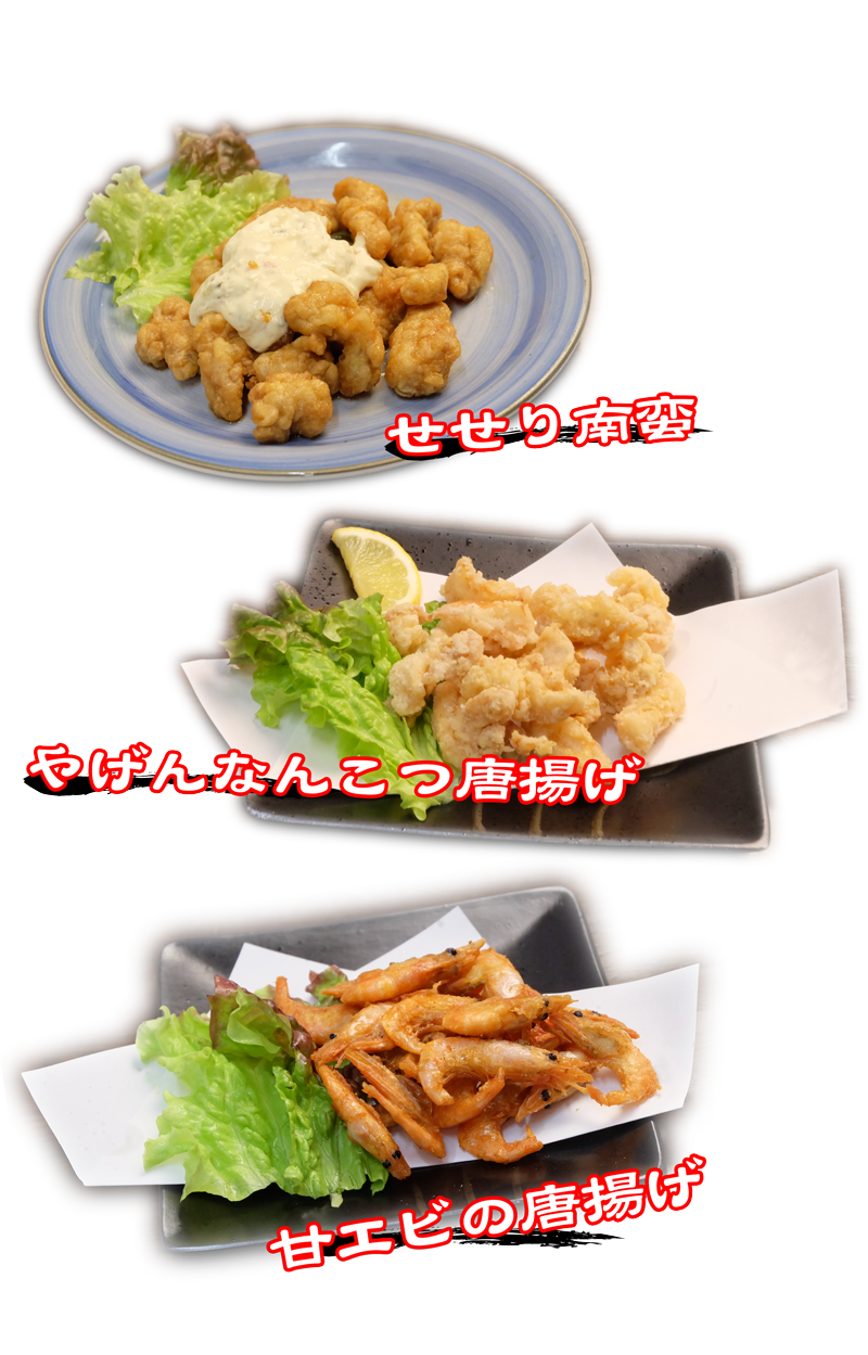menu_agemono02